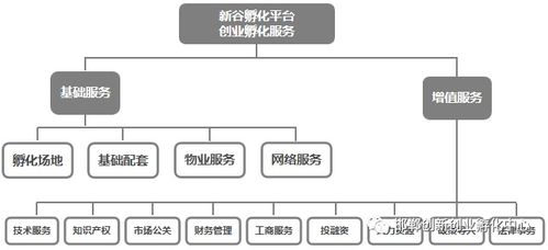 創(chuàng)客如何選擇創(chuàng)業(yè)孵化器與管理服務(wù)的智慧指南