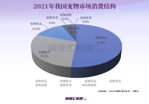 從寵物糧賽道到創(chuàng)業(yè)孵化 一位70后上海企業(yè)家的雙軌征途
