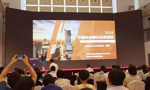 創(chuàng)業(yè)孵化 有“創(chuàng)”更得有“孵”，論孵化器管理服務(wù)的核心價(jià)值